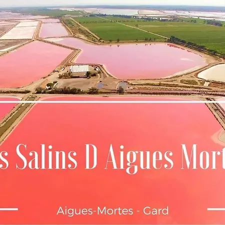 Tres Bel Au Grau Du Roi Equipe 33m2 Le Grau-du-Roi
